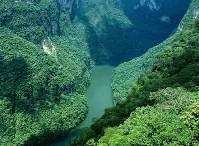 袖虎宠物商业调查：开宠物店如何采购活体资源