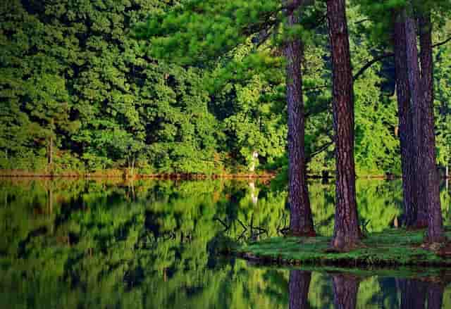袖虎病猫攻略：脸黑不是病，重点色要了解