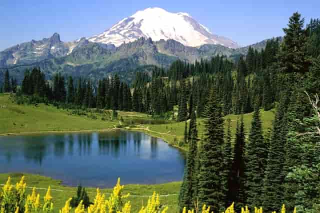 开宠物店需要多少钱？袖虎宠物低成本高收入！