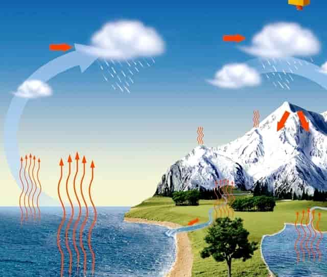 芡实和白莲子能一起煮吗