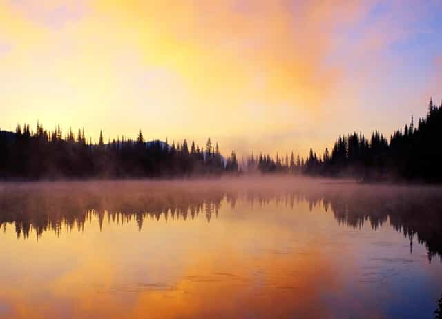 西比曼生物科技正式启用全新英文标识“AbelZeta