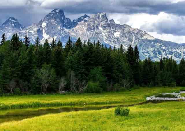 口腔名医站 | 打了麻醉药后，大脑受损？专家回答来了！