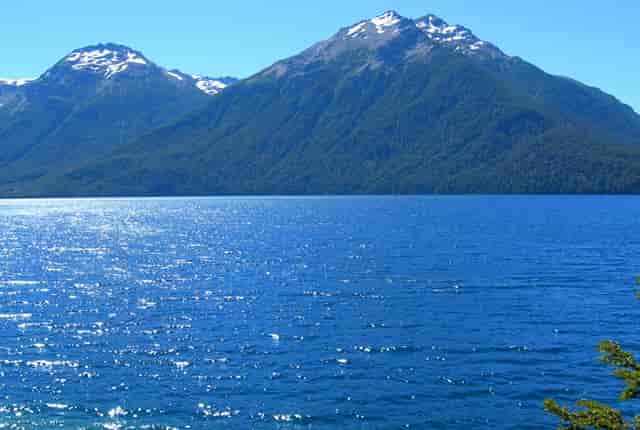 山东最新发布新型肺炎(山东新型肺炎确诊病例)