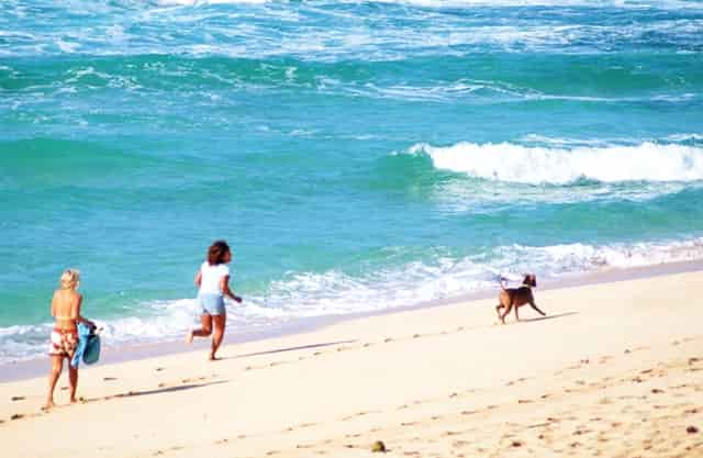 贾母一共几个儿女(贾母一共有几个子女)