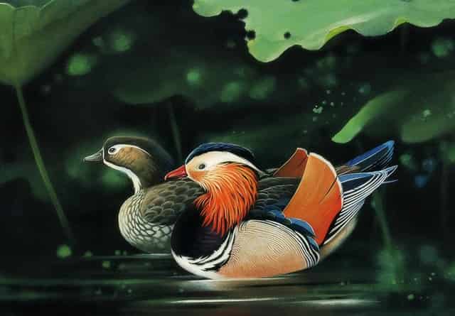 隧道的形成视频(隧道是怎么形成的)