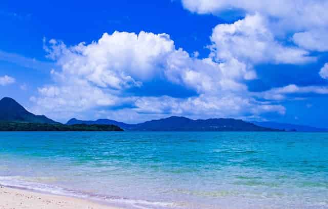 音乐剧《乳香飘（暂定名）》研讨会在内蒙古文联召开