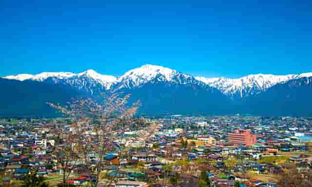 西比曼生物TIL疗法C-TIL051获FDA批准临床，针对非小细胞肺癌