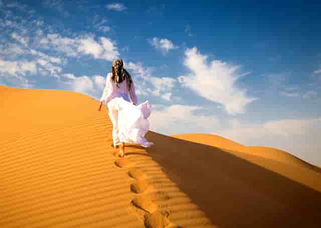 袖虎病猫攻略：猫咪流口水是饿了还是病了？