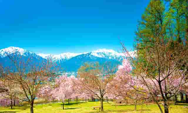 执业药师分初中高(执业药师证分等级吗)