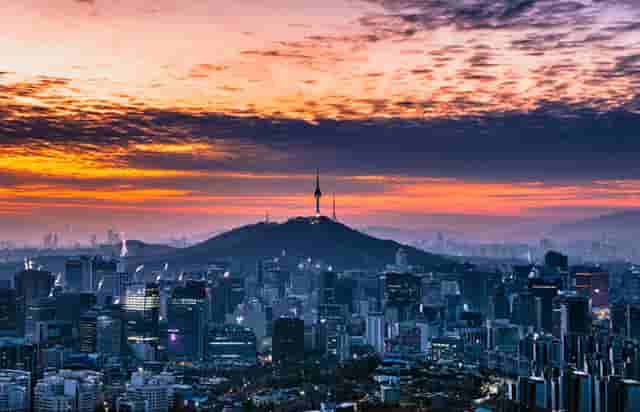 袖虎病猫攻略：猫什么情况会得狂犬病？被咬了要打针吗？