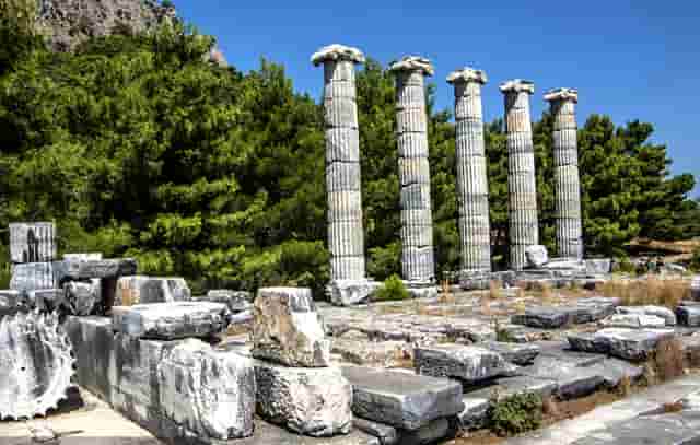 ASH2023 | 西比曼两项免疫肿瘤药物临床数据发布