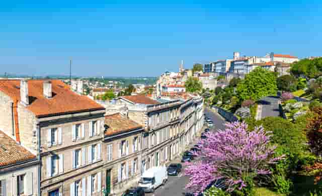 疫苗接种信息怎么上传(滴滴车主在哪上传疫苗接种)