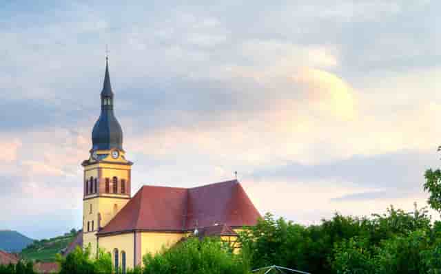 袖虎病狗攻略：为什么小狗也会口臭得让人受不了