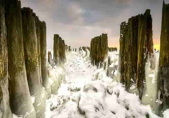 西比曼生物JPM大会：为癌症和自免疾病患者开发创新细胞疗法