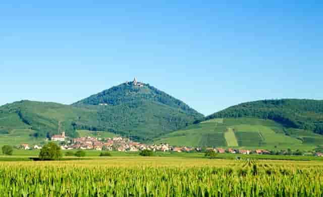 比亚迪上半年新车销量首进全球前十