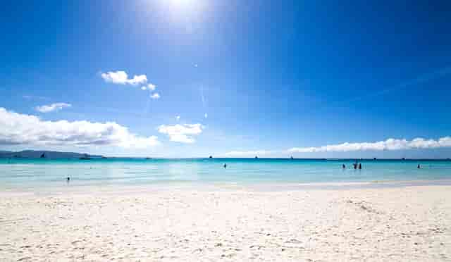 袖虎病猫攻略：猫流口水要注意