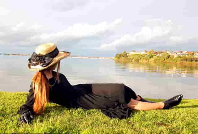 袖虎的猫狗为什么会那么贵