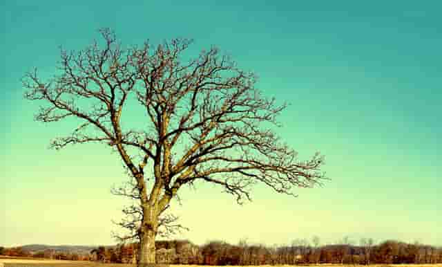 鸿星尔克特效道具