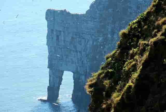 西比曼和杨森进一步深化合作  共同推动细胞治疗产品中国商业化进展