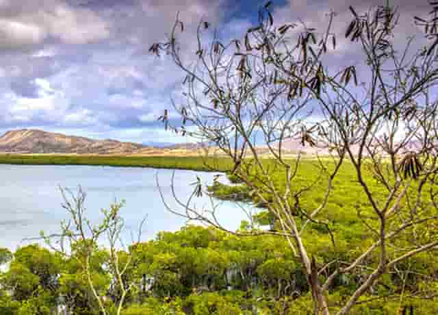 靶向药新星·拉罗替尼不限癌种（Larotrectinib，LOXO-101）