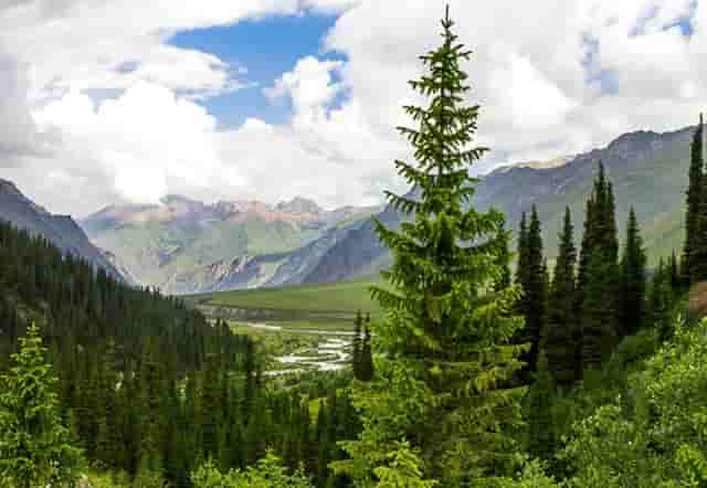 学生阅读的英文(学生翻译英文)