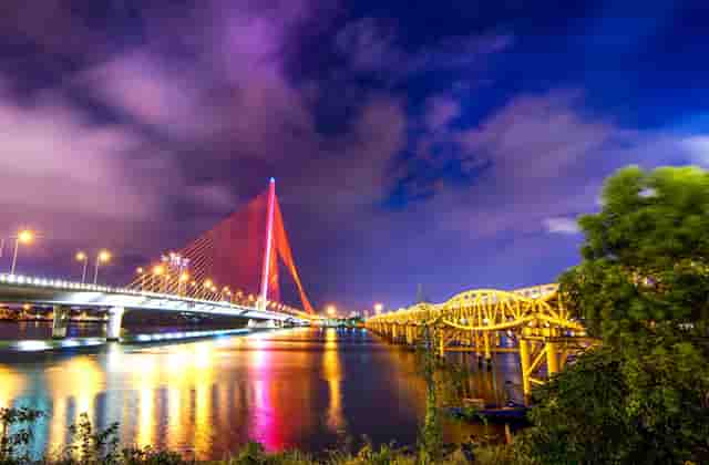 想入局宠物行业开店？袖虎宠物教你避坑免踩雷！