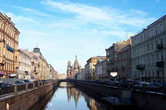 袖虎病猫攻略：买到猫癣的猫怎么办