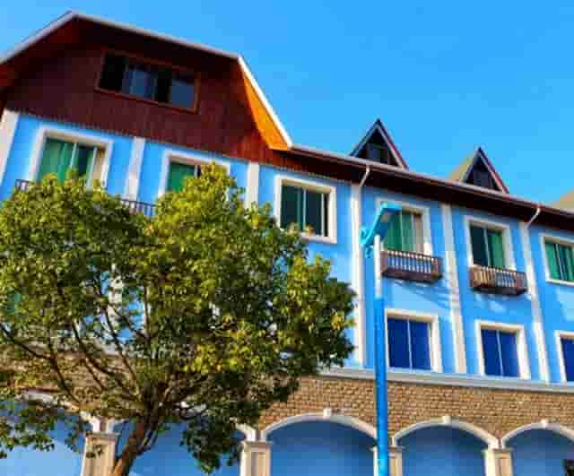 青蛇电影修复(青蛇赵文卓电影)