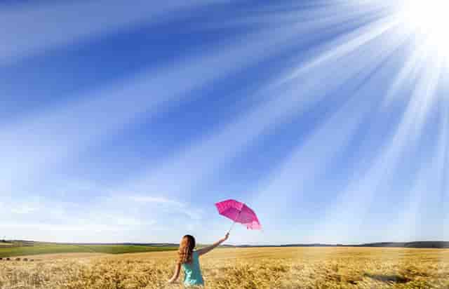 袖虎宠物：宠物加盟的老坑新坑