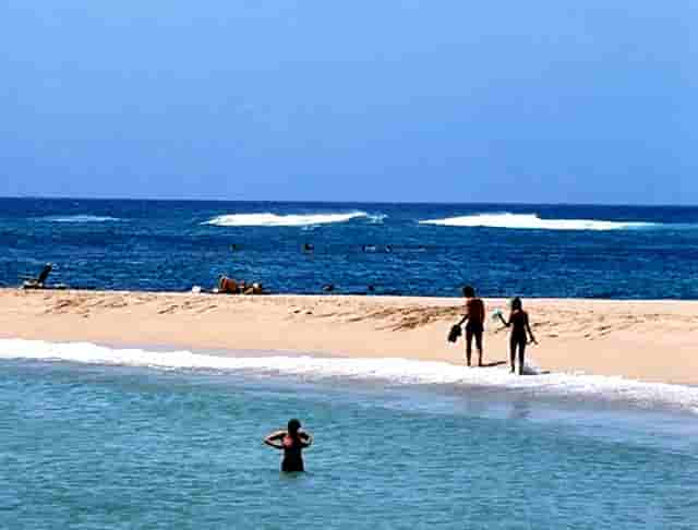 西比曼组建免疫和炎症疾病科学顾问委员会 加速自免疾病治疗领域研究进展