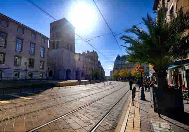 袖虎病猫攻略： 猫打喷嚏怎么办