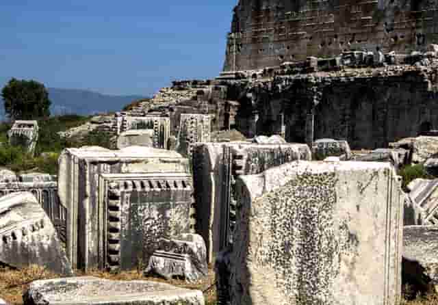 西比曼正式宣布启动脂肪间充质干细胞产品AlloJoin®的III期临床试验