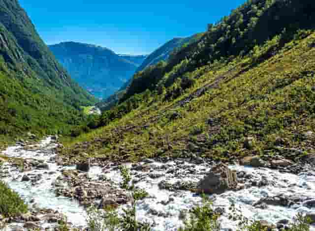 袖虎病狗攻略：不让碰爪爪？小心这是病