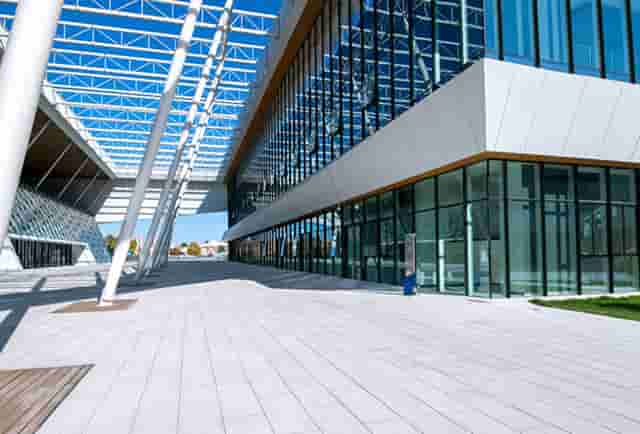 鲸鱼可以脱身吗