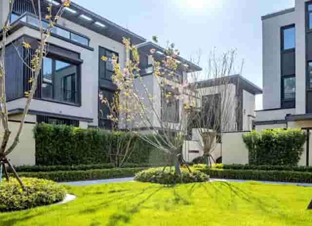 是中国创新药不行吗？