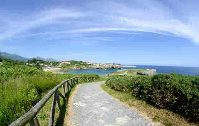 袖虎病狗攻略：狗狗泪痕重怎么办？